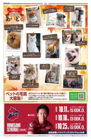 3ページ